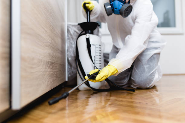 Best Commercial Pest Control Services  in Elwood, UT