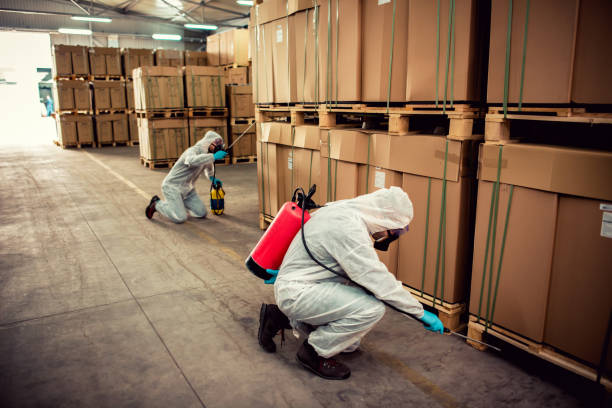 Professional Pest Control in Elwood, UT