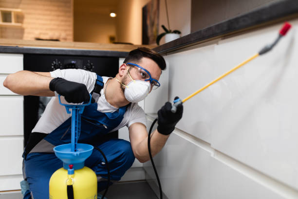 Best Mosquito Control Services  in Elwood, UT