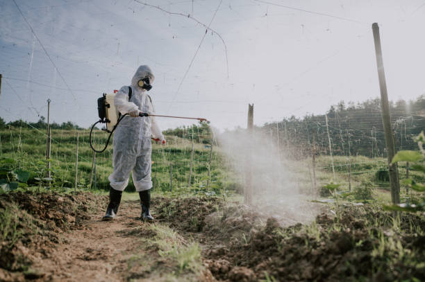 Pest Control Cost in Elwood, UT
