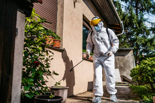 Best Pest Removal Services  in Elwood, UT
