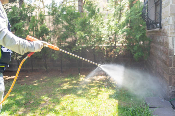 Best Wasp Removal Services  in Elwood, UT