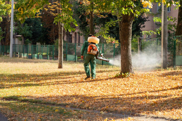Best Best Pest Control Companies  in Elwood, UT